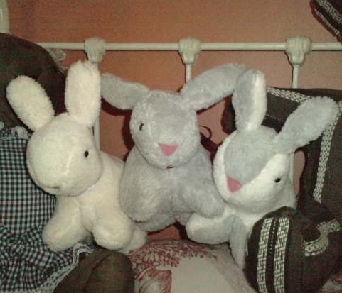 Doudou lapins