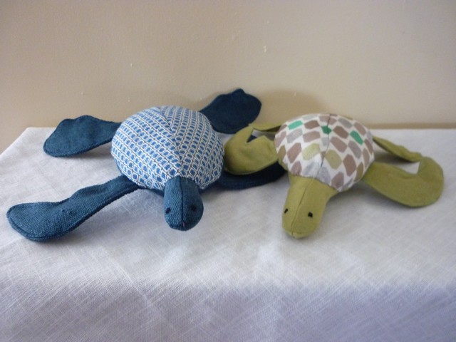 Les petites tortue de mer