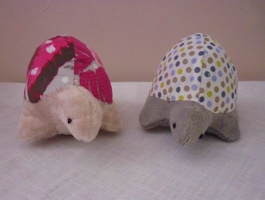 Les petites tortue