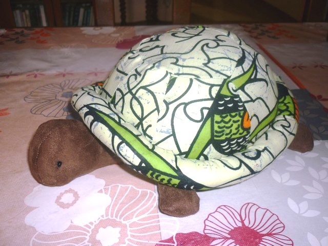 tortue 1